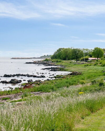 Yosefin - 50M from the Sea