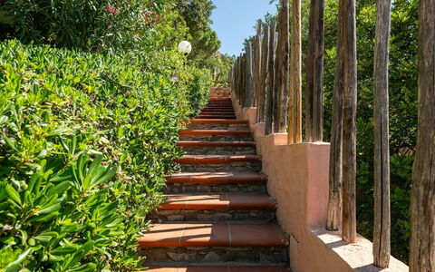 Pellicano: Arbuste, Jardin, Printemps, Ombre, Aménagement Paysager, Passerelle, Jardin Botanique, Pot De Fleur, Clôture, Accueil Escrime