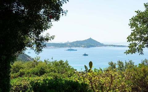 Pellicano: Bleu, Feuille, Vert, Végétation, Paysage Naturel, Arbuste, Communauté Des Plantes, Cotiers Et Relief Océaniques, Mer, Côte