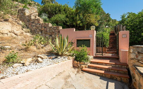 Pellicano: Arbuste, Roche, Communauté Des Plantes, Jardin, Aménagement Paysager, Pot De Fleur, Dalle, Escaliers, Mur De Pierre