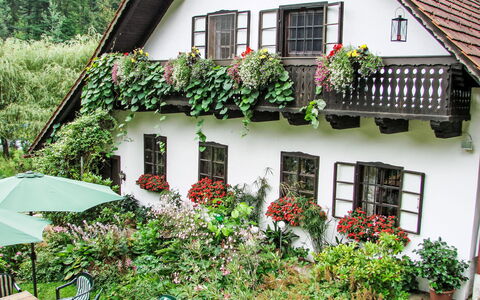 Himmelreichmühle: Maison, Arbuste, Chalet, Porte, Balcon, Pot De Fleur, Plante D'Appartement, Jardin, Ferme