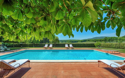Medieval Castle Living: Vineyards, Swimming Pool &: Jardin, Ombre, Recours, Eco Hôtel, Piscine, Hacienda, Mobilier De Jardin, Plantation, Villa, Ferme