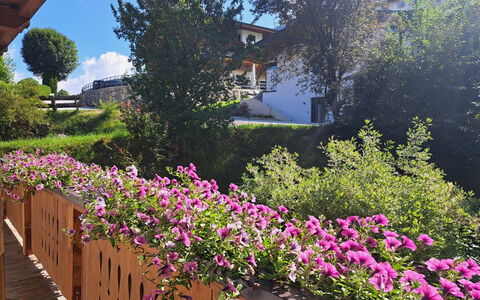 Weißbacher: Fleur, Arbuste, Rose, Jardin, Violet, Printemps, Plante À Fleurs, Couverture De Sol, Pétale