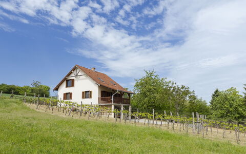 Pax: Herbe, Maison, Zone Rurale, Chalet, Toit, Domicile, Paysage, Plaine, Lot Terre