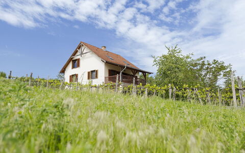 Pax: Herbe, Maison, Zone Rurale, Chalet, Toit, Domicile, Paysage, Plaine, Lot Terre