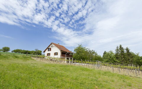 Pax: Herbe, Maison, Zone Rurale, Chalet, Toit, Domicile, Paysage, Plaine, Lot Terre