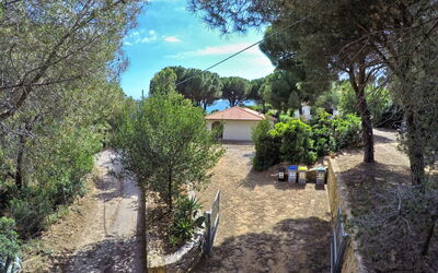 Capoliveri 860: Arbre, Feuille, Arbuste, Jardin, Aménagement Paysager, Ombre, Biens, Allée, Arrière-Cour