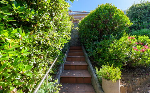Montparnasse: Vert, Feuille, Arbuste, Communauté Des Plantes, Jardin, Suppression Des Plantes Ligneuses, Haie, Passerelle, Ombre, Aménagement Paysager