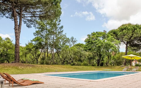 Villa Dos Sobreiros: Arbre, Jardin, Ombre, Pelouse, Aménagement Paysager, Parc, Biens, Cour, Des Bois, Mobilier De Jardin