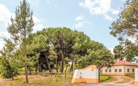 Villa Dos Sobreiros: Arbre, Feuille, Branche, Paysage, Lot Terre, Plaine, Sol, Ombre, Aménagement Paysager