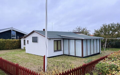Ginger - 50M from the Sea