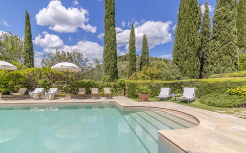 Podere Peteglia: Bleu, Jardin, Aménagement Paysager, À Feuilles Persistantes, Piscine, Mélèze, Famille Pine