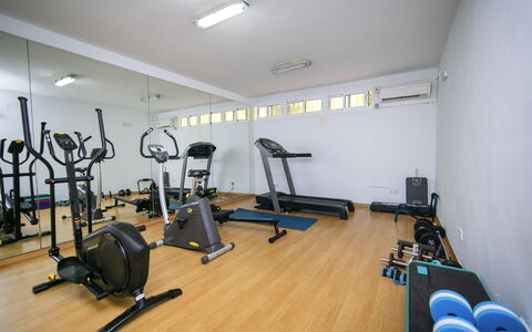 Altea Natura: Sol, Sol, Pièce, Plafond, Design Intérieur, Éclairage, Equipement D'Exercice, Machine D'Exercice Physique, Meubles, Gym