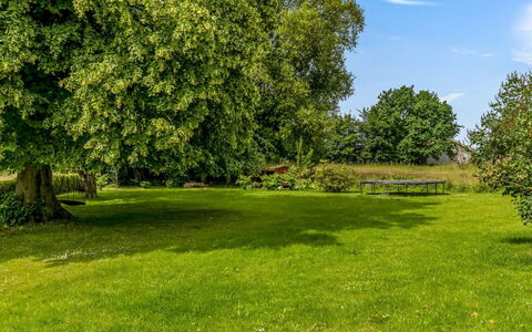 Edla - 5Km from the Sea: Bleu, Vert, Jour, Arbre, Herbe, Feuille, Environnement Naturel, La Nature, Branche, Prairie