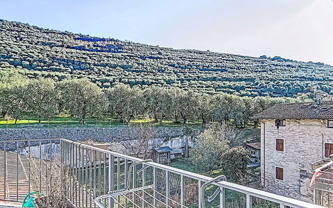 Tra Gli Ulivi: Clôture, Accueil Escrime, Balcon