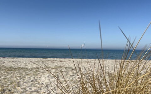 Holmfridur - 1.1Km from the Sea: Bleu, Horizon, Plage, Côte, Mer, Écorégion, Cotiers Et Relief Océaniques, Rive, Le Sable