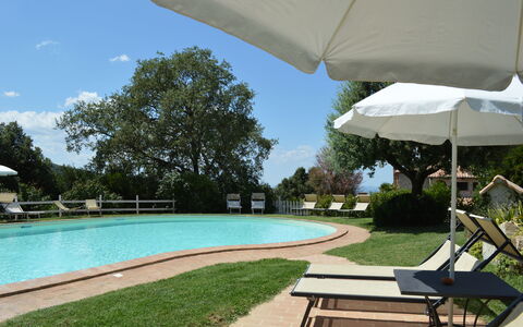 Agriturismo Bellavista, Private Pool, Val D'Orcia: Piscine, Mobilier De Jardin, Meubles, Recours, Ombre, Jardin, Eco Hôtel, Balancelle, Tableau De Plein Air, Aménagement Paysager