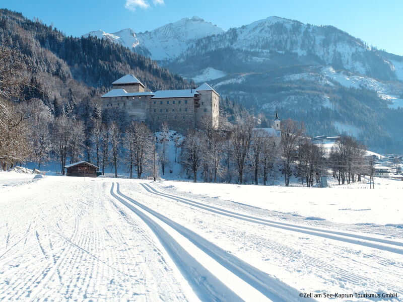 Wohnung Alpinresort Kaprun Top 11