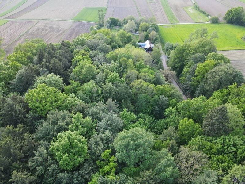 Idyllisch am Waldrand Gelegene Ferienwohnung
