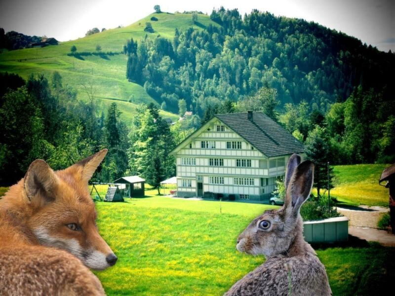 Verschlafen... in Sanfte Hügel Eingebettet.
