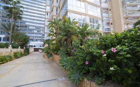 La Joya: Ciel, Bâtiment, Plante, Fenêtre, Arbre, Design Urbain, Zone Résidentielle, Asphalte, Roue, Surface De La Route