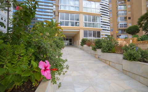 La Joya: Ciel, Bâtiment, Plante, Fenêtre, Arbre, Design Urbain, Zone Résidentielle, Asphalte, Roue, Surface De La Route
