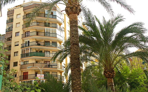 Calpe Calp 390: Plante, Bâtiment, Propriété, Fenêtre, Ciel, Arbre, Terrestre Des Plantes, Arecales, Végétation, Maison