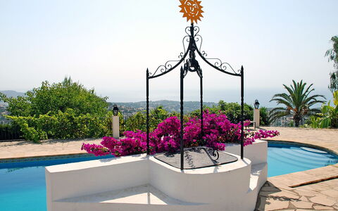 Baile del Sol: Pot De Fleur, Vacances, Fleur, Botanique, Plante, Loisir, Arbre, Tourisme, Plante D'Appartement, Jardin