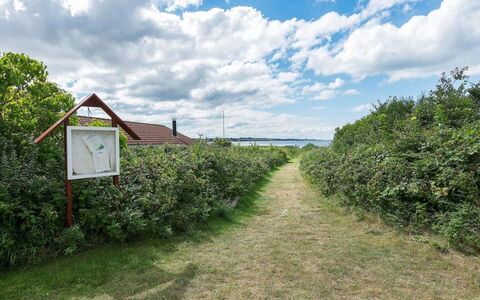 Filisha - 200M from the Sea: Arbuste, Zone Rurale, Couverture De Sol, Plantation, Jardin, Champ, Haie, Ferme, Agriculture, Piste
