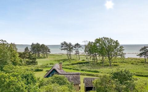 Ellanora - 50M from the Sea: Herbe, Végétation, Paysage Naturel, Prairie, Arbuste, Chalet, Lot Terre, Communauté Des Plantes, Zone Rurale