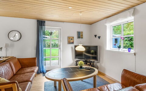 Tomassine: Design Intérieur, Sol, Meubles, Bois, Sol, Plafond, Canapé, Parquet, Salon, Domicile