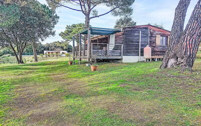 Calcatoggio 600: Lot Terre, Ombre, Pelouse, Cour, Jardin, Batiments Jardin, Arrière-Cour, Aménagement Paysager, Parc, Cabane En Rondins
