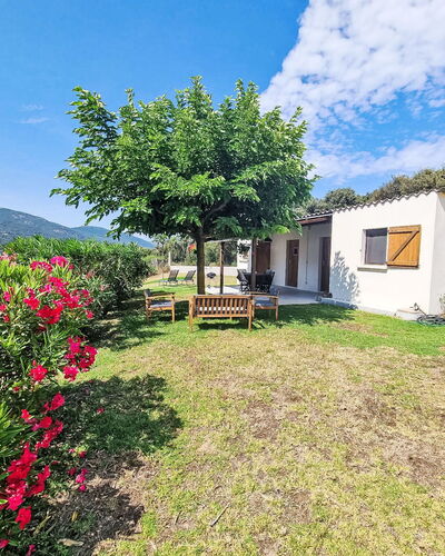 Calcatoggio 600: Arbuste, Zone Rurale, Chalet, Jardin, Village, Ferme