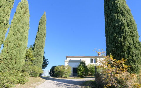 Il Palazzo: Jour, Arbre, Bâtiment, Appartement, Zone Résidentielle, Ville, Quartier, Condominium, Design Urbain, Établissements Humains