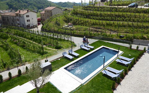 Villa Valdobbiadene Pool Spa: Design Urbain, Jardin, Cour, Piscine, Aménagement Paysager, Agriculture, Plantation, Vue Du Ciel, Arrière-Cour, Villa