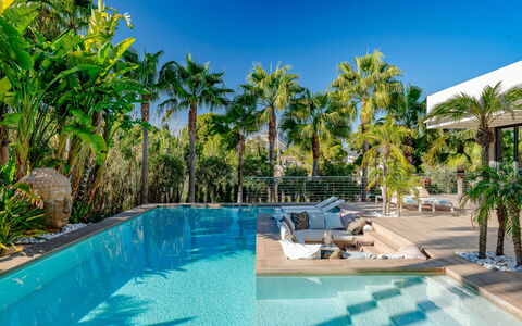 Essence: Piscine, Recours, Ombre, Biens, Condominium, Hôtel, Aménagement Paysager, Hacienda, Villa