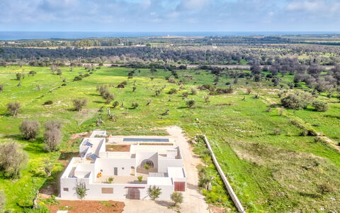 Terracorte Villa: Paysage, Lot Terre, Domicile, Plaine, Biens, Aménagement Paysager, Plantation, Village, Ferme, Hacienda