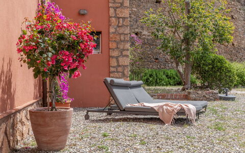 Villa Fior di Roccia: Pot De Fleur, Arbuste, Mobilier De Jardin, Meubles, Jardin, Plante D'Appartement, Rose, Chaise, Cour