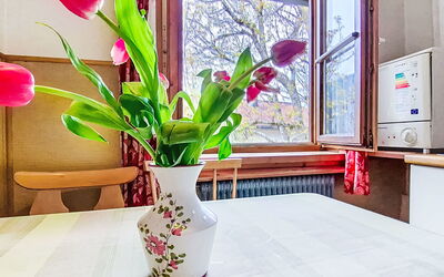 Logement:&nbsp;Wieshammer 12.1