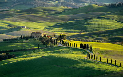 Il Gallinaio, Vivo D'Orcia