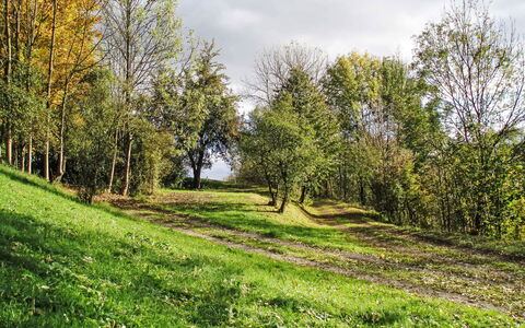 Green Valley Park Stárkov 15: Feuille, Vert, Arbre, Herbe, Branche, Environnement Naturel, La Nature, Paysage Naturel, Végétation, Prairie