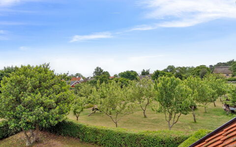 Siegfried - 100M from the Sea: Arbre, Feuille, Végétation, Arbuste, Jardin, Printemps, Suppression Des Plantes Ligneuses, Lumière Du Soleil, Plantation, Pelouse