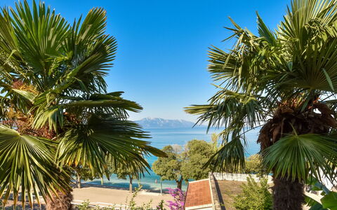 Lui: Bleu, Arbre, Feuille, Végétation, Tropiques, Ombre, Côte, Eco Hôtel