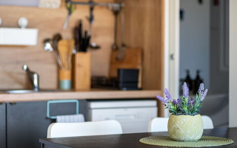 Maslina Delux: Meubles, Cuisine, Comptoir, Design Intérieur, Appareil De Cuisine, Bois, Vaisselle, Cabinetry, Éclairage, Électroménager