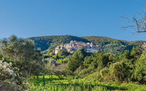 Piedi sulla Spiaggia: La Nature, Végétation, Paysage Naturel, Colline, Paysage, Communauté Des Plantes, Station De Montagne, Forêt, Printemps, Réserve Naturelle