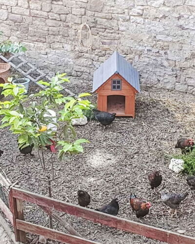 Tinkerhof Stahlhut