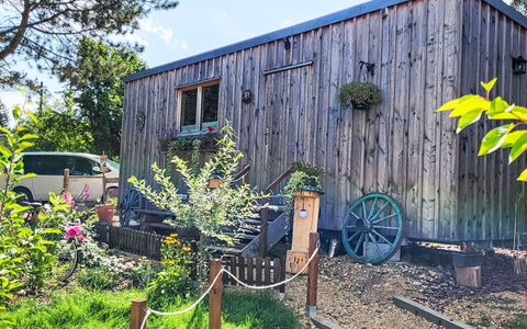 Tiny House Cottage Herbert: Bois, Chalet, Cabanon, Batiments Jardin, Porte, Siding, Dur, Tache De Bois, Cabane En Rondins, Jardin