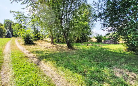 Tiny House Cottage Herbert: Vert, Herbe, Feuille, Arbre, Végétation, Paysage Naturel, Été, Arbuste, Prairie, Plaine