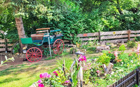 Tiny House Cottage Herbert: Fleur, Jardin, Arbuste, Printemps, Couverture De Sol, Arrière-Cour, Aménagement Paysager, Cour, Floristique