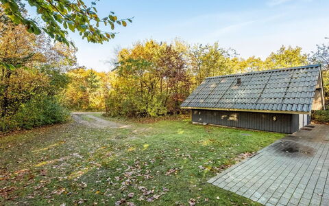 Avni - 30Km from the Sea: Meubles, Mobilier De Jardin, Vaisselle, Table, Drinkware, Chaise, Tableau De Plein Air, Aliments, Bouteille